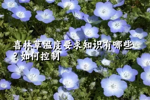 喜林草温度要求知识有哪些？如何控制