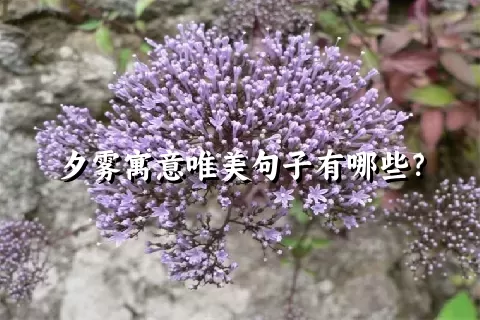夕雾寓意唯美句子有哪些？