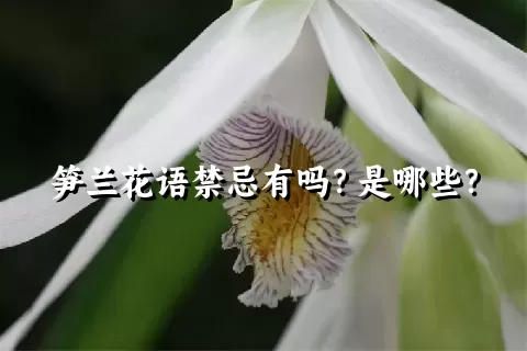 笋兰花语禁忌有吗？是哪些？