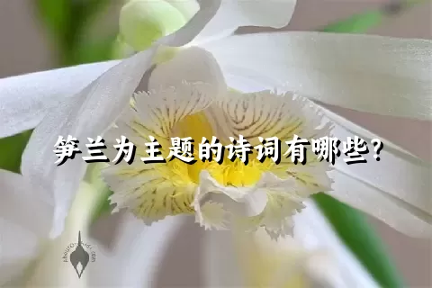 笋兰为主题的诗词有哪些？