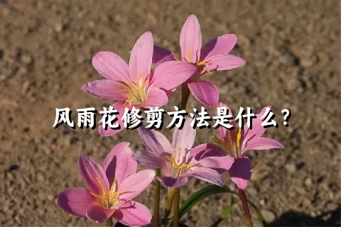 风雨花修剪方法是什么？