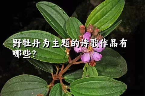野牡丹为主题的诗歌作品有哪些？