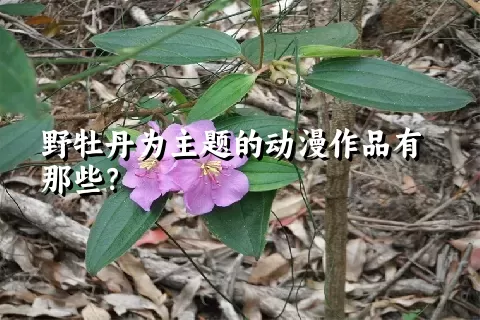 野牡丹为主题的动漫作品有那些？