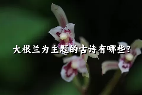 大根兰为主题的古诗有哪些？