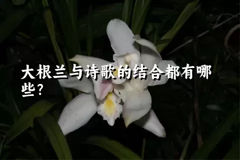 大根兰与诗歌的结合都有哪些？