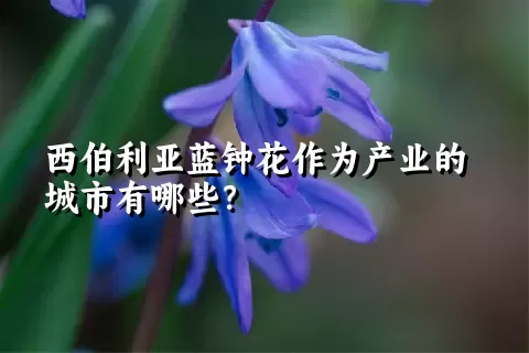 西伯利亚蓝钟花作为产业的城市有哪些？