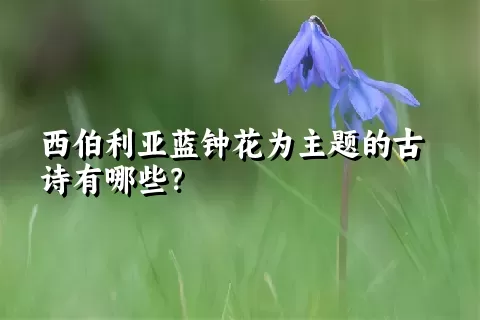 西伯利亚蓝钟花为主题的古诗有哪些？