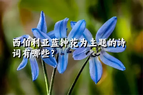 西伯利亚蓝钟花为主题的诗词有哪些？