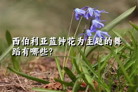 西伯利亚蓝钟花为主题的舞蹈有哪些？