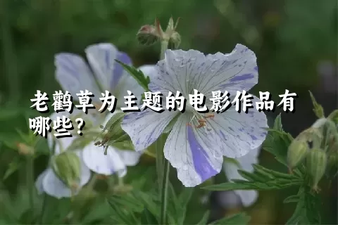 老鹳草为主题的电影作品有哪些？