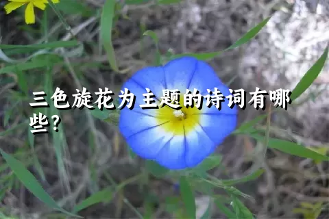 三色旋花为主题的诗词有哪些？