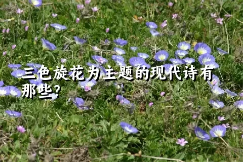 三色旋花为主题的现代诗有那些？