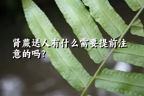 肾蕨送人有什么需要提前注意的吗？