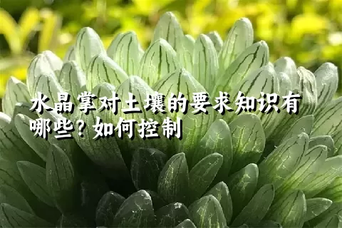水晶掌对土壤的要求知识有哪些？如何控制
