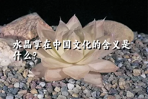 水晶掌在中国文化的含义是什么？