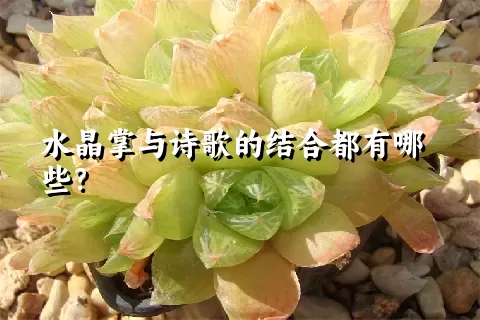 水晶掌与诗歌的结合都有哪些？