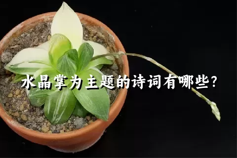 水晶掌为主题的诗词有哪些？