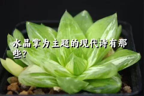 水晶掌为主题的现代诗有那些？