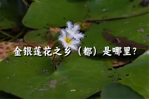 金银莲花之乡（都）是哪里？