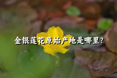 金银莲花原始产地是哪里？