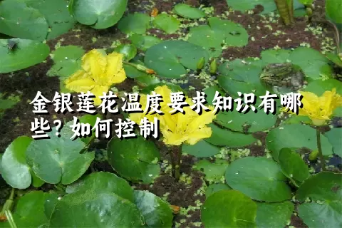 金银莲花温度要求知识有哪些？如何控制