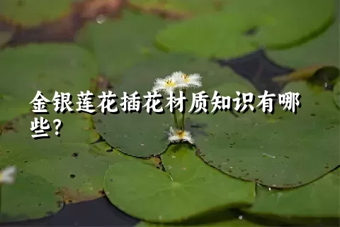 金银莲花插花材质知识有哪些？
