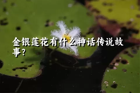 金银莲花有什么神话传说故事？
