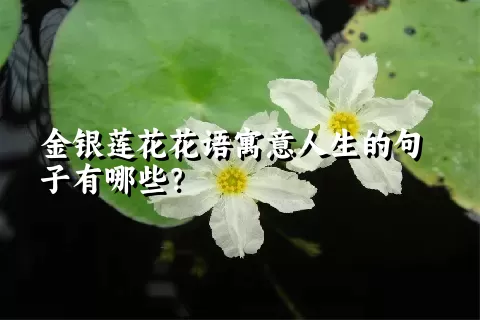 金银莲花花语寓意人生的句子有哪些？