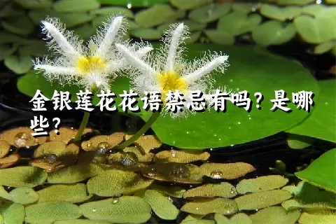 金银莲花花语禁忌有吗？是哪些？