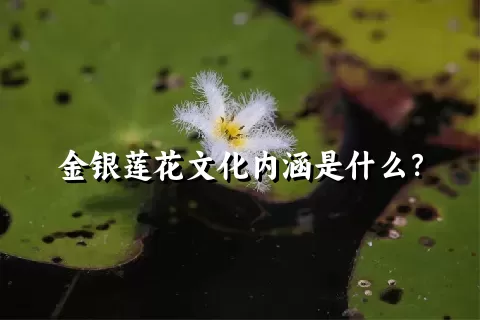 金银莲花文化内涵是什么？