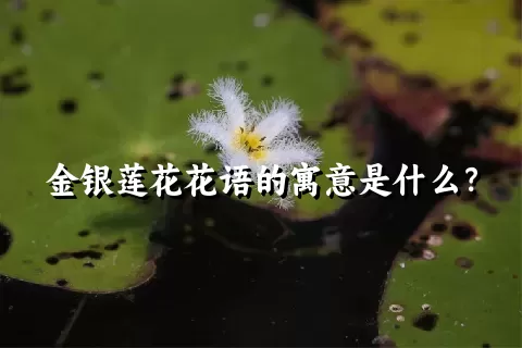 金银莲花花语的寓意是什么？
