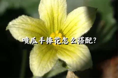 喷瓜手捧花怎么搭配？