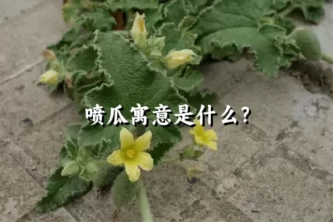 喷瓜寓意是什么？