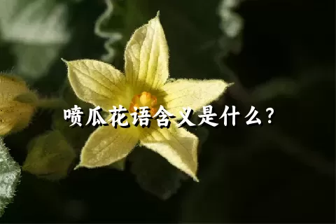 喷瓜花语含义是什么？