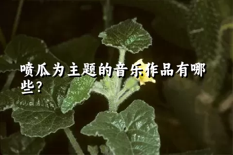 喷瓜为主题的音乐作品有哪些？