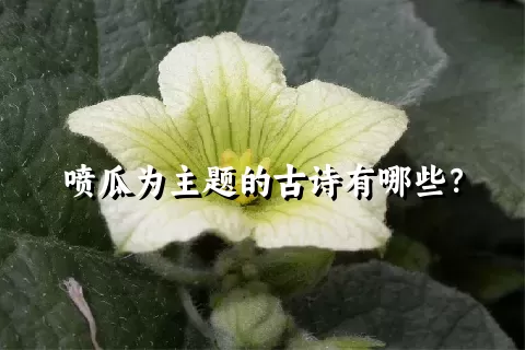 喷瓜为主题的古诗有哪些？