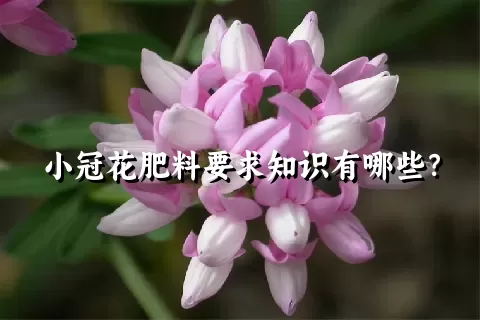 小冠花肥料要求知识有哪些？