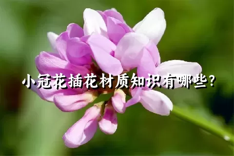 小冠花插花材质知识有哪些？