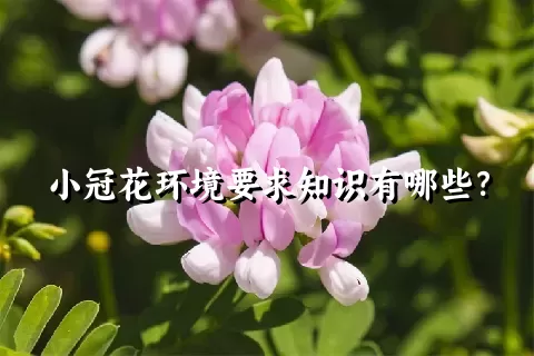 小冠花环境要求知识有哪些？