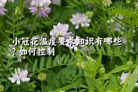 小冠花温度要求知识有哪些？如何控制