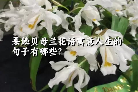 栗鳞贝母兰花语寓意人生的句子有哪些？