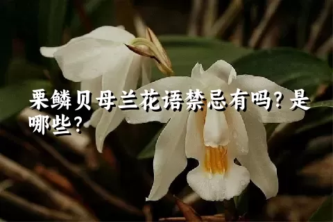 栗鳞贝母兰花语禁忌有吗？是哪些？