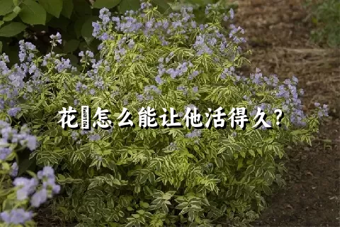 花荵怎么能让他活得久？