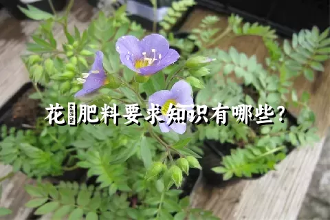 花荵肥料要求知识有哪些？