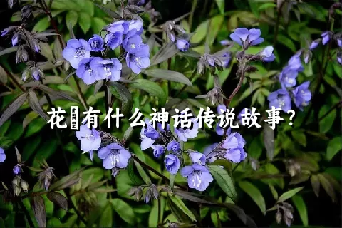 花荵有什么神话传说故事？