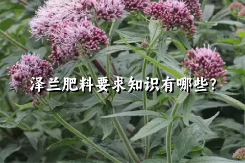 泽兰肥料要求知识有哪些？