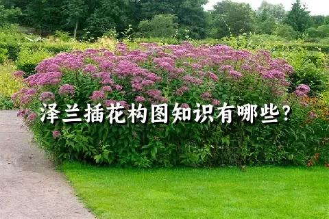 泽兰插花构图知识有哪些？