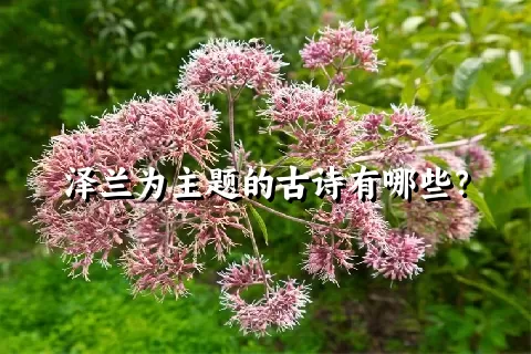 泽兰为主题的古诗有哪些？