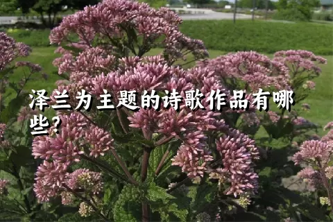 泽兰为主题的诗歌作品有哪些？