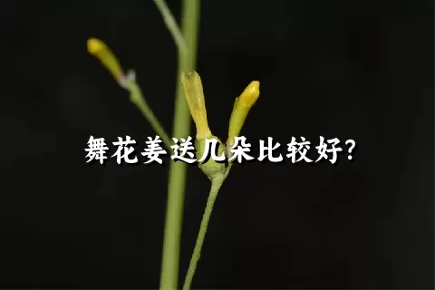舞花姜送几朵比较好？